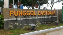 Blk 652 Punggol Central (Punggol), HDB 4 Rooms #128433722